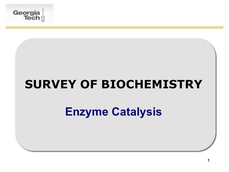 1 SURVEY OF BIOCHEMISTRY Enzyme Catalysis. 2 Enzymatic Catalysis: Recap General Properties of Enzymes –6 Enzyme Classes –Substrate Specificity –Types.