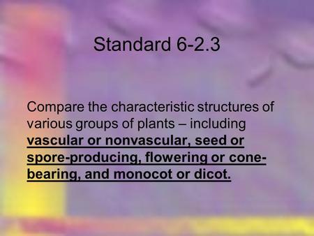 Standard 6-2.3 Compare the characteristic structures of various groups of plants – including vascular or nonvascular, seed or spore-producing, flowering.