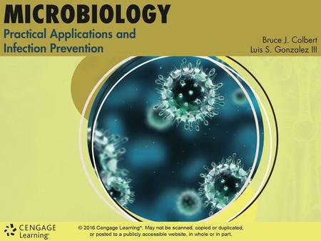 CHAPTER 4 Infection Prevention 4-2 Introduction Infection prevention terminology is required for understanding microbiology in practice ─Infection prevention.