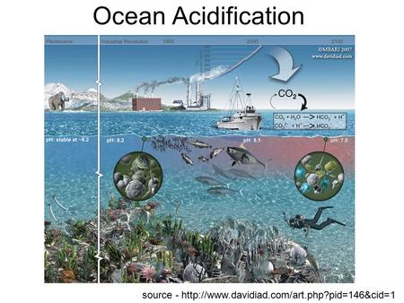 Ocean Acidification source -