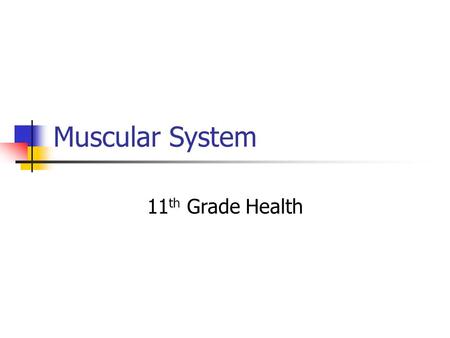 Muscular System 11 th Grade Health. Purpose Provides bodily movements Moves blood, air, food and waste through our body.