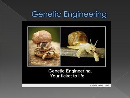  What is Genetic Engineering?  Types of GE  Aims  Ethical issues  Organizations against modified food  Arguments for and against  Sources.