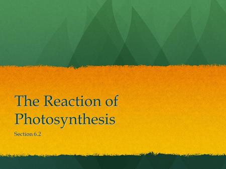 The Reaction of Photosynthesis Section 6.2. Reaction of Photosynthesis During photosynthesis (p.syn) captured solar energy is converted to chemical energy.