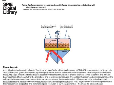 Date of download: 5/28/2016 Copyright © 2016 SPIE. All rights reserved. A double-chamber flow cell for Fourier Transform Infrared-Surface Plasmon Resonance.