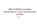 Effect of NH4Cl on synaptic transmission in crayfish neuromuscular junction 2015.