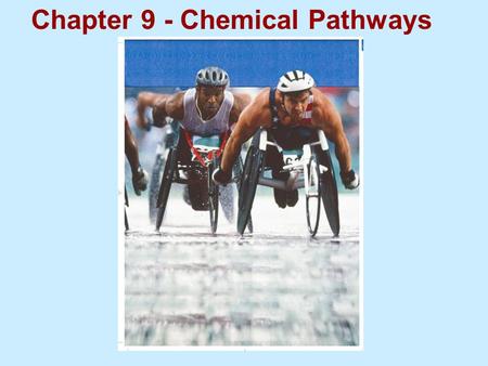 Chapter 9 - Chemical Pathways. Food serves as a source of raw materials for the cells in the body and as a source of energy. Animal Plant Animal Cells.