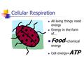 Cellular Respiration All living things need energy Energy in the form of… Food =chemical energy Cell energy= ATP.