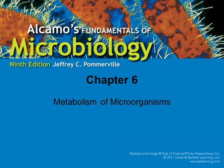 Chapter 6 Metabolism of Microorganisms. 6.1 Enzymes and Energy in Metabolism Enzymes catalyze all cellular reactions. Enzymes are not changed by the reactions.