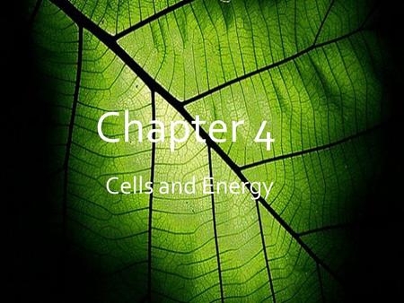 Cells and Energy Chapter 4 Cells and Energy. 4.1 Chemical Energy & ATP  When you eat, the food you intake is made of Carbs, Proteins, and Lipids. Your.