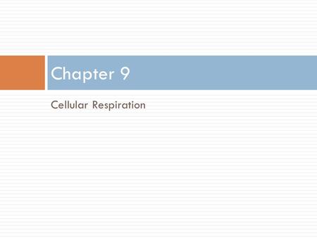 Cellular Respiration Chapter 9. Review  What is the equation for photosynthesis?  What are the two reactions for photosynthesis? Where do they occur?