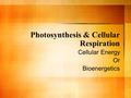 Photosynthesis & Cellular Respiration Cellular Energy Or Bioenergetics.