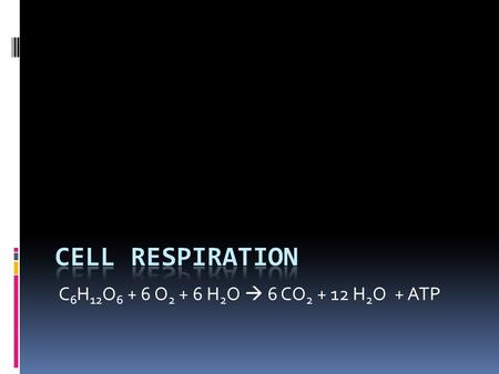 C 6 H 12 O 6 + 6 O 2 + 6 H 2 O  6 CO 2 + 12 H 2 O + ATP.