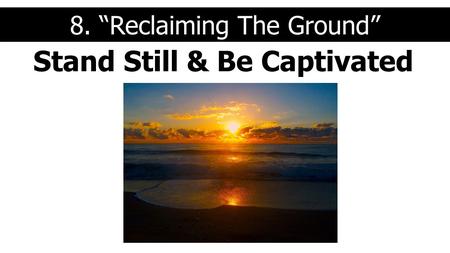 Stand Still & Be Captivated 8. “Reclaiming The Ground”