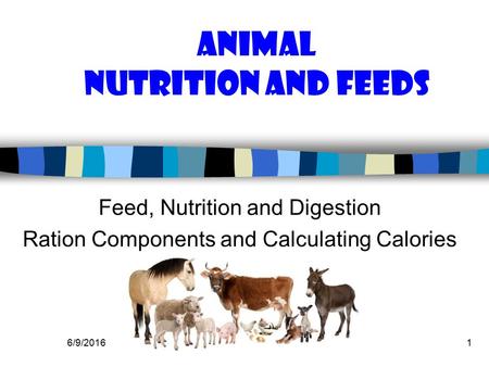 6/9/20161 Animal Nutrition and Feeds Feed, Nutrition and Digestion Ration Components and Calculating Calories.