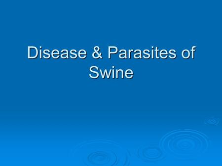 Disease & Parasites of Swine. Millions of dollars are lost each year by hog producers… WHY????