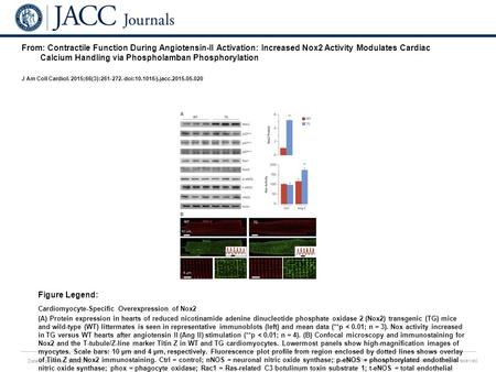 Date of download: 5/28/2016 Copyright © The American College of Cardiology. All rights reserved. From: Contractile Function During Angiotensin-II Activation: