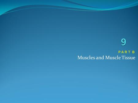 Muscles and Muscle Tissue P A R T B. Depolarization Initially, this is a local electrical event called end plate potential Later, it ignites an action.