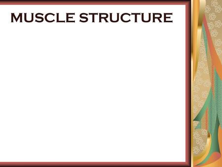 MUSCLE STRUCTURE. WHAT IS SKELETAL MUSCLE? Muscles are composed of strands of proteins grouped together in fibres. 70% of tissue is water Creates movement.