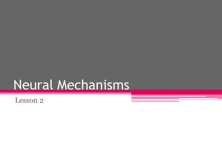 Neural Mechanisms Lesson 2. Outline neural mechanism as an explanation of aggression Evaluate neural mechanism as an explanation of aggression.