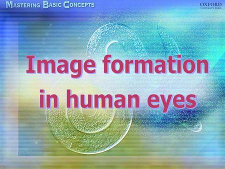 The eye Image formation Accommodation Focusing on near objects Focusing on distant objects Eye defects: short sight, long sight, colour blindness.