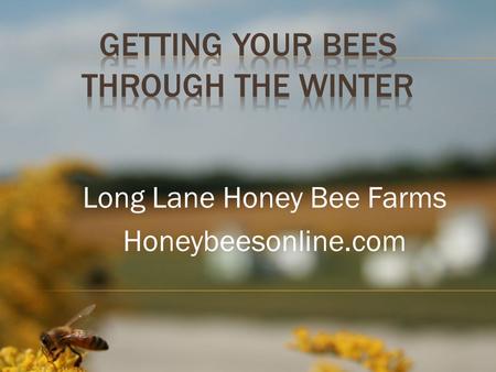 Long Lane Honey Bee Farms Honeybeesonline.com. Welcome to Long Lane Honey Bee Farm’s class, “Getting Bees Through The Winter.” Knowledge, education, skill.