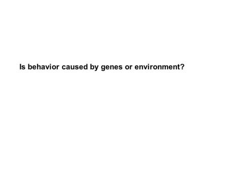 Is behavior caused by genes or environment?. Can the environment influence the function of genes?