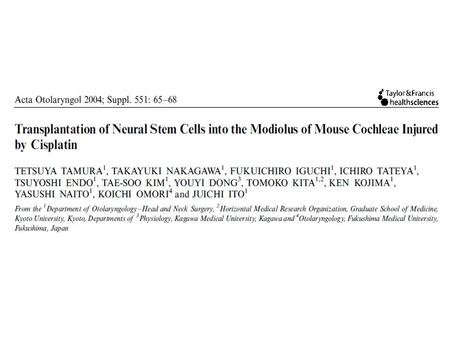 Aim Examine the possibility of restoration of spiral ganglion neurons by transplantation of fetal neural stem cells (NSCs) into the modiolus of cochlea.