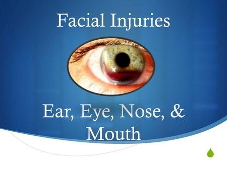  Facial Injuries Ear, Eye, Nose, & Mouth. The Ear  The ear allows us to hear and maintain balance/equilibrium.  3 sections:  Outer Ear  Middle Ear.