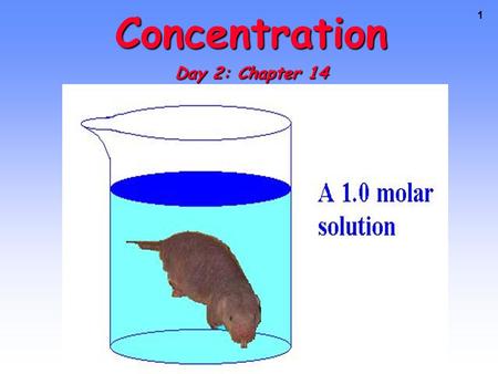 1 Concentration Day 2: Chapter 14. CONCENTRATION The amount of solute present in a set amount of solvent or total solution. The amount of solute present.