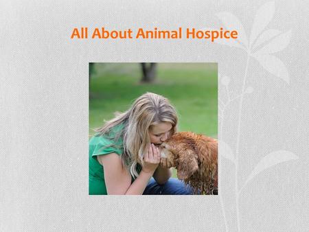 All About Animal Hospice. What led me to the field of animal hospice? My 30 second elevator speech Website: Email: Phone: Add Your Logo here.