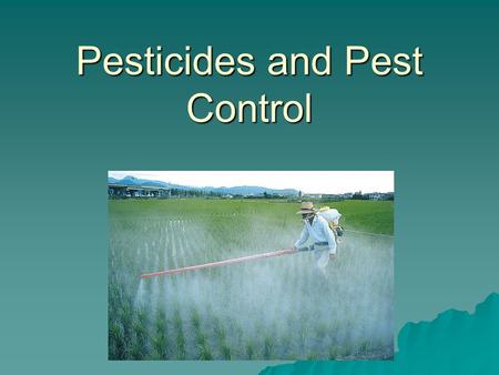 Pesticides and Pest Control. Types of Pesticides and Their Uses  Pests: Any species that competes with us for food, invades lawns and gardens, destroys.