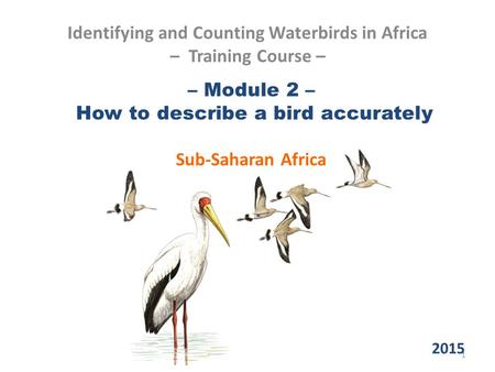 – Module 2 – How to describe a bird accurately Sub-Saharan Africa Identifying and Counting Waterbirds in Africa – Training Course – 1 2015.