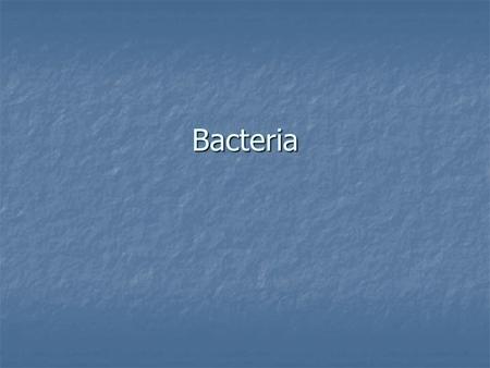 Bacteria. Bacteria Earth’s oldest life forms Earth’s oldest life forms – between 3.5 and 3.8 billion years old Most abundant life form – up to 2.5 billion.