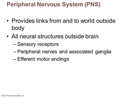 © 2013 Pearson Education, Inc. Peripheral Nervous System (PNS) Provides links from and to world outside body All neural structures outside brain –Sensory.