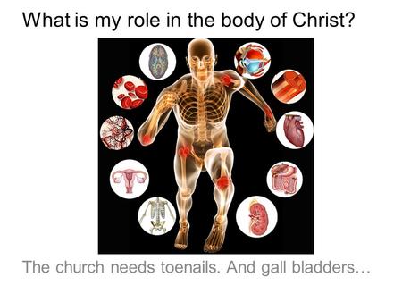 What is my role in the body of Christ? The church needs toenails. And gall bladders…