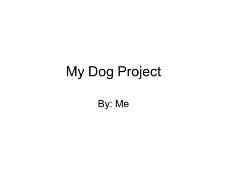 My Dog Project By: Me. The Poodle The Poodle, though often equated to the beauty with no brains, is exceptionally smart, active and excels in obedience.