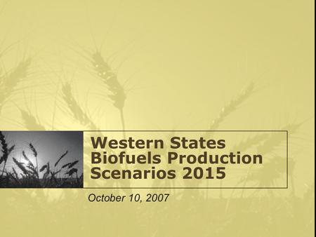 Western States Biofuels Production Scenarios 2015 October 10, 2007.