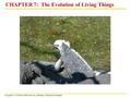 Copyright © 2003 Pearson Education, Inc. publishing as Benjamin Cummings CHAPTER 7: The Evolution of Living Things.