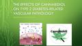 THE EFFECTS OF CANNABIDIOL ON TYPE 2 DIABETES-RELATED VASCULAR PATHOLOGY PRESENTED BY RACHEL DOPART 1 Dokken, 2008.