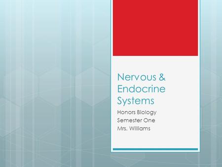 Nervous & Endocrine Systems Honors Biology Semester One Mrs. Williams.