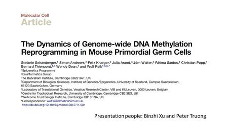 Presentation people: Binzhi Xu and Peter Truong. What is known and not known Known: “epigenetic information is (erased and)reprogramed on genome wide.