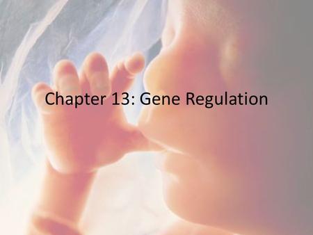 Chapter 13: Gene Regulation. The Big Picture… A cell contains more genes than it expresses at any given time – why? Why are cells in multicellular organisms.