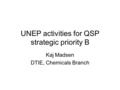 UNEP activities for QSP strategic priority B Kaj Madsen DTIE, Chemicals Branch.