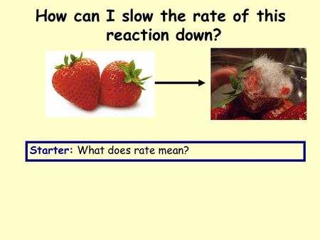 How can I slow the rate of this reaction down? Starter: What does rate mean?