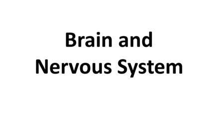 Brain and Nervous System. Divisions of the nervous system. Structures and functions of the central nervous system (CNS) to include the somatic nervous.