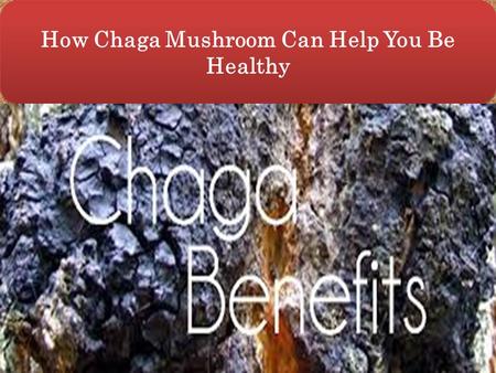 How Chaga Mushroom Can Help You Be Healthy. Chaga mushroom the birch loving mushroom that does not look like one, is an ancient remedy that has been valued.