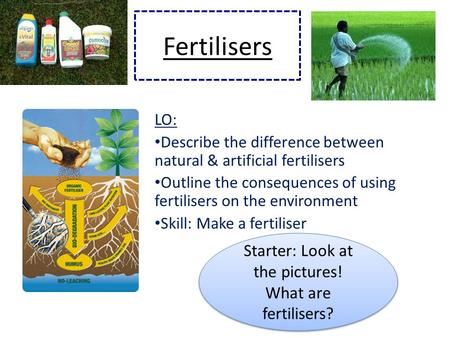 Fertilisers LO: Describe the difference between natural & artificial fertilisers Outline the consequences of using fertilisers on the environment Skill: