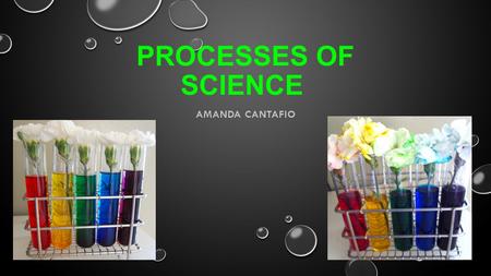 PROCESSES OF SCIENCE AMANDA CANTAFIO. OBSERVING OBSERVING WHILE USING ALL THE SENSES TO FIND THE DIFFERENT ELEMENTS OF THE OBJECT BEING OBSERVED. OBSERVING.