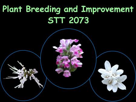 Plant Breeding and Improvement STT 2073. Variation Environmental variation Heritable variation.