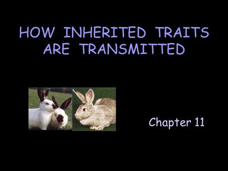 Chapter 11 HOW INHERITED TRAITS ARE TRANSMITTED. Genetics is the science of heredity.